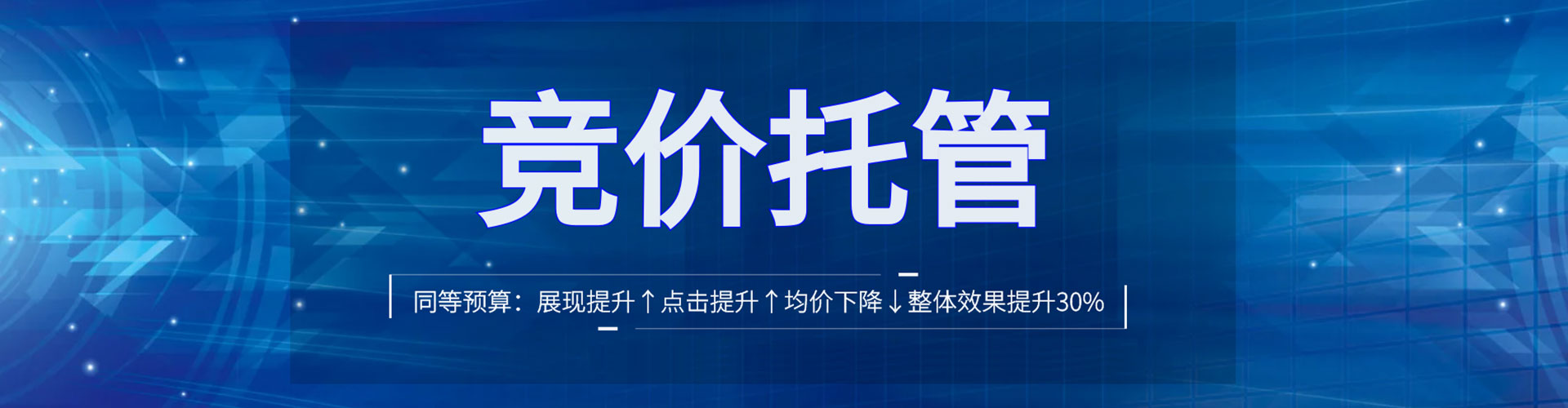 蔡甸竞价代运营