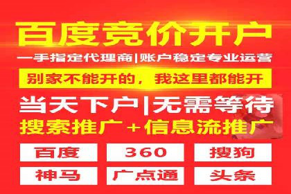 探索专业SEM托管的奥秘：从案例看效果